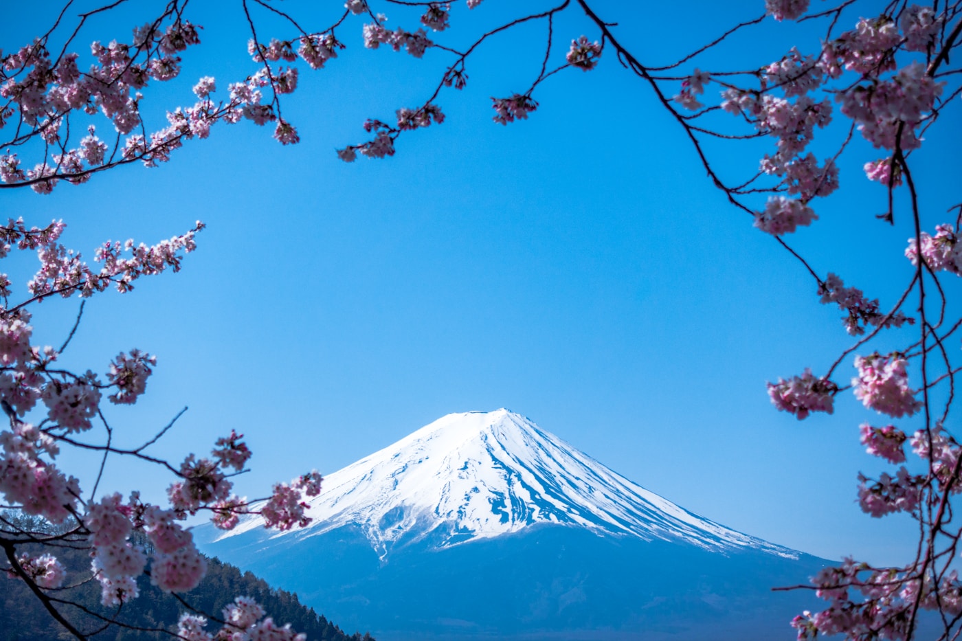 石川県庁周辺